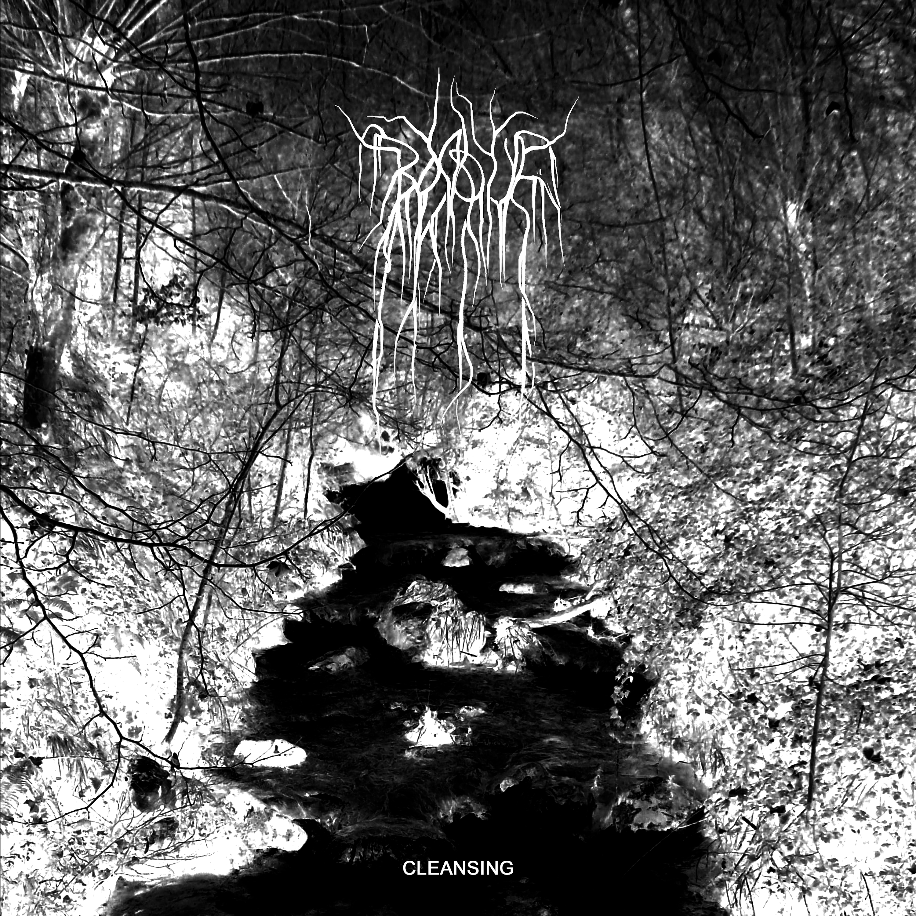 bosque-cleansing-ein-album-review