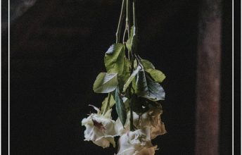 attic-stories-colorless-roses-single-vorstellung