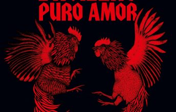 broilers-puro-amor-ein-album-review