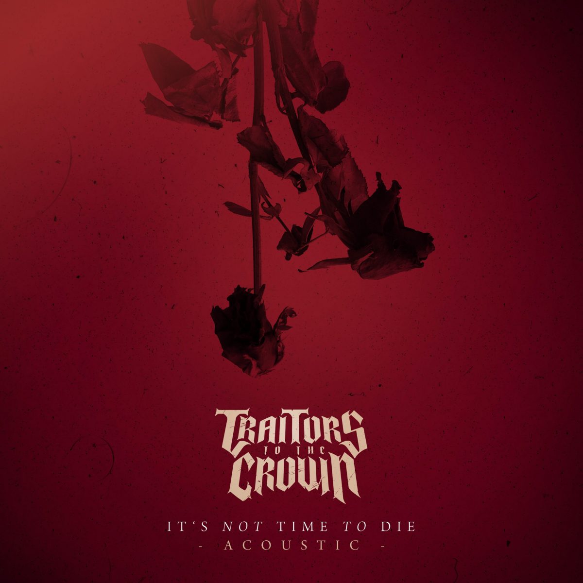 traitors-to-the-crown-veroeffentlichen-its-not-time-to-die-acoustic-news