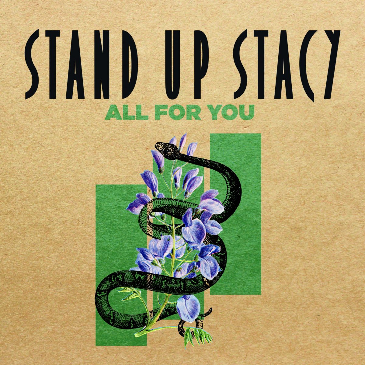stand-up-stacy-veroeffentlichen-all-for-you-news