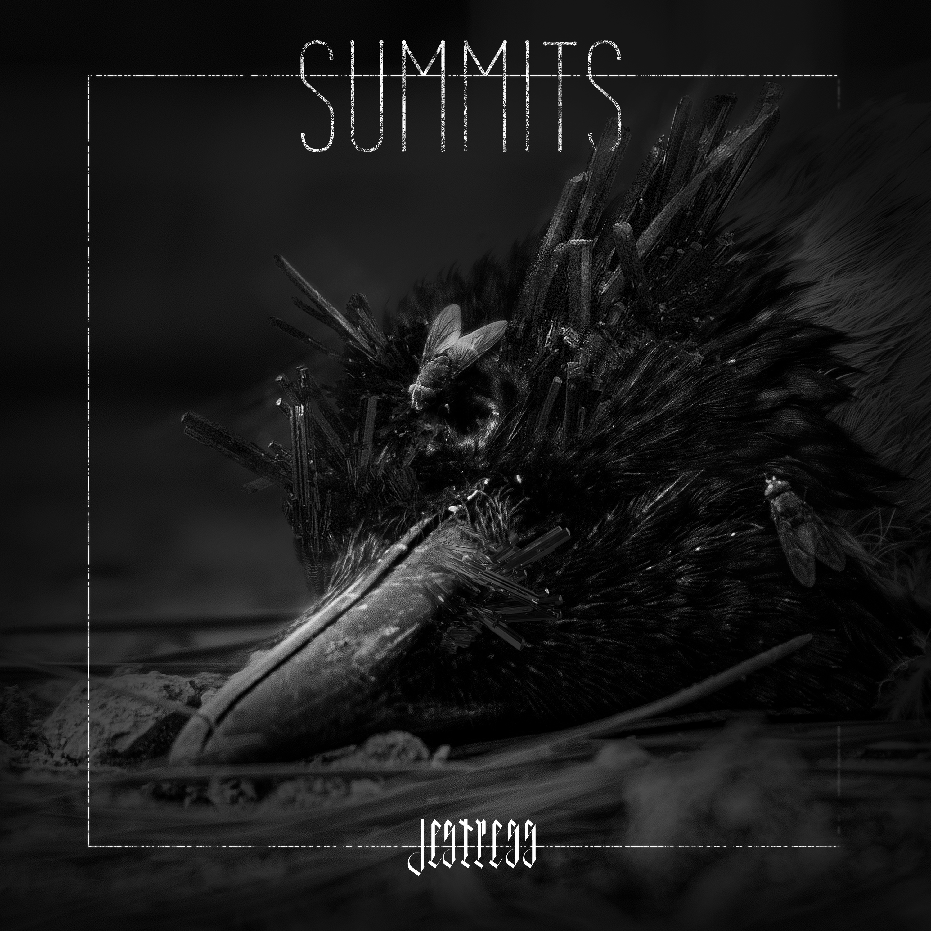 jestress-musikvideo-zur-neuen-single-summits-online
